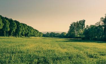 Hoteller i Bad Bodenteich