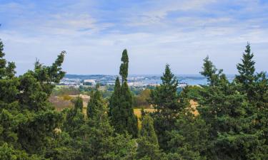 Apartmani u gradu Ħal Far