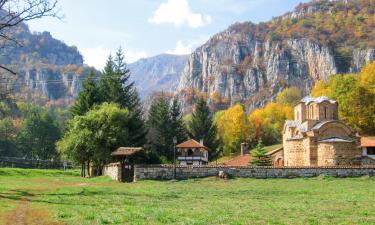 Hoteles en Dimitrovgrad