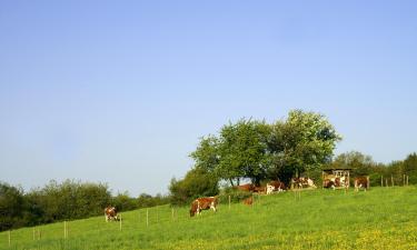 Hotels with Parking in Weibersbrunn