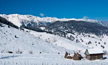 Hoteles en Piatra Fântânele