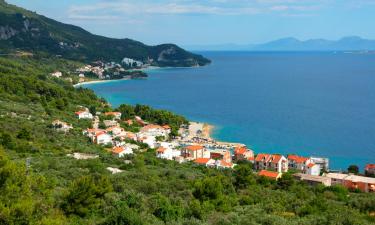 Apartments in Živogošće