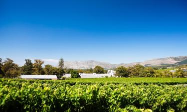 Hotels in Constantia