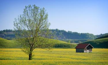 Hoteles familiares en Unterschleißheim