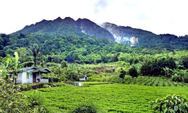 Hotel murah di Berastagi