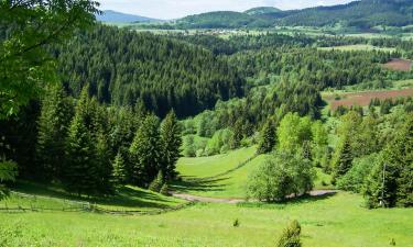 Günstige Hotels in Rudno