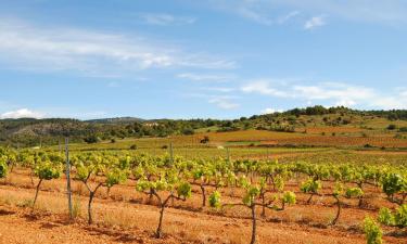 Cottages in Sant Jaume dels Domenys