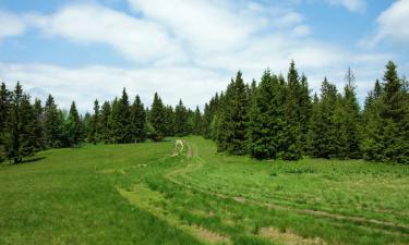 Family Hotels in Hosingen