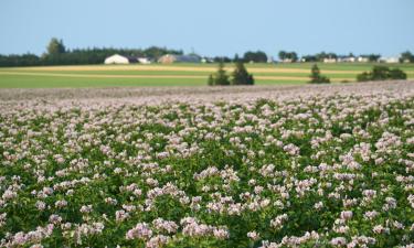 Hotels with Parking in Souris