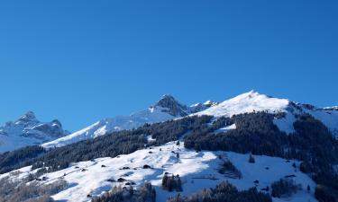 Séjours au ski à Gryon