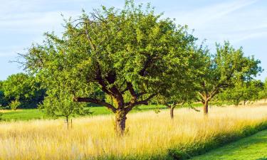 Parkolóval rendelkező hotelek Lollarban