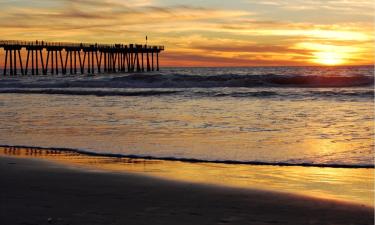 Lemmikloomasõbralikud hotellid sihtkohas Hermosa Beach