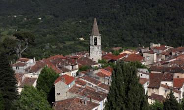 Hoteles en Bargemon