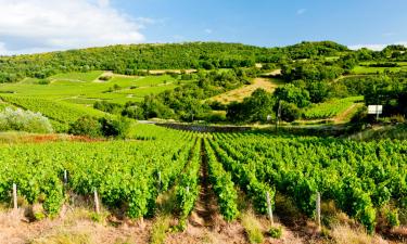 Hotel convenienti a Givry