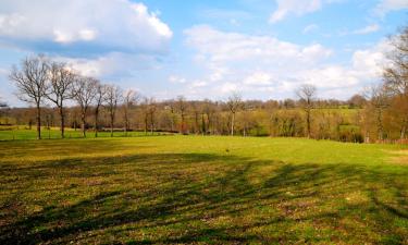 Huisdiervriendelijke Hotels in Évaux-les-Bains