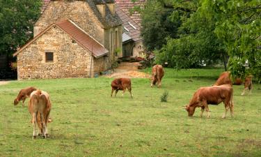 Cottages in Meyrals