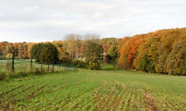 Obiekty B&B w mieście Heist-op-den-Berg