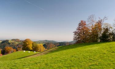 Günstige Hotels in Frick