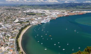 Hotels a Tauranga