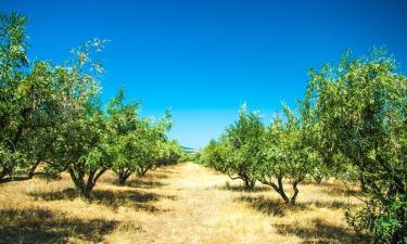 Φθηνά ξενοδοχεία σε Villar de Plasencia