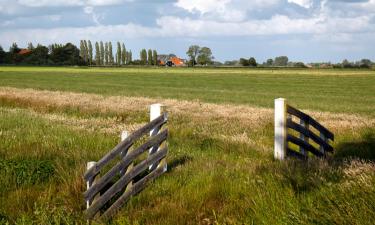 Cottages in Sint Nicolaasga