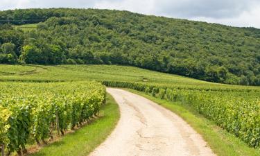 Hotel-hotel bajet di Marcilly-sur-Tille