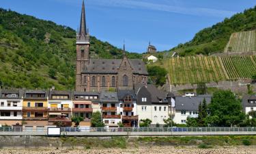 Hoteles con estacionamiento en Lorchhausen