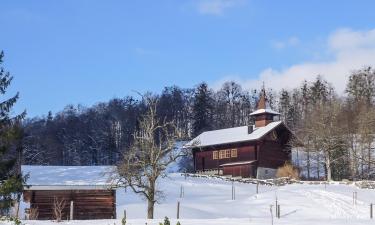 Skidresorter i Brienzwiler