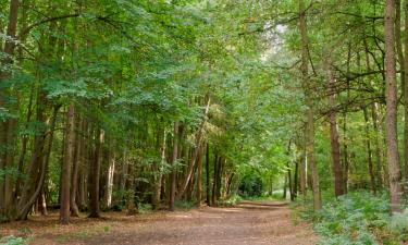 Bed and breakfasts en Crowthorne