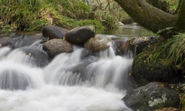 Cama e cafés (B&Bs) em Lydford