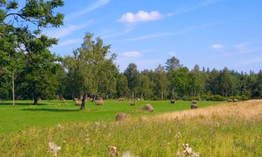 Haustierfreundliche Hotels in Aegviidu