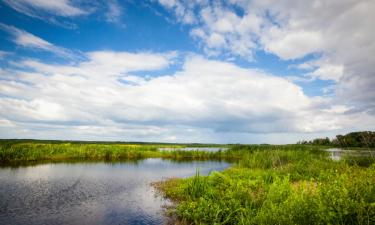 Atostogos be didelių išlaidų mieste Rincon