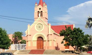 Pet-Friendly Hotels in El Morro