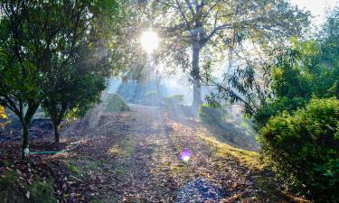 Semesterboenden i Memorial