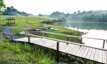 โรงแรมที่มีสระว่ายน้ำในโป่งตาลอง