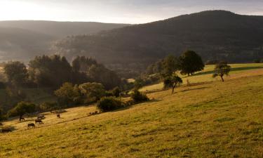 Holiday Rentals in Gleißenberg