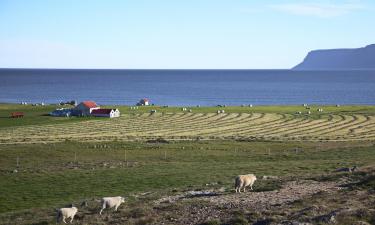 Hótel með bílastæði í Haga