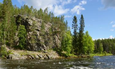 Case per le vacanze a Käylä