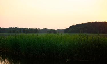 Alquileres vacacionales en Salakas