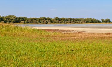 Hotels amb aparcament a Wallern im Burgenland