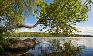 Case per le vacanze a Oravisalo