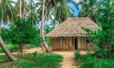 Cheap hotels in Chole