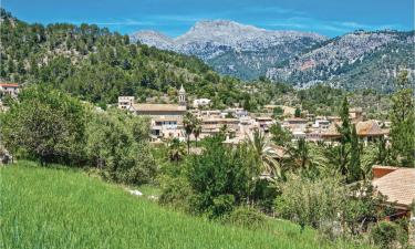 Cottages in Mancor del Valle