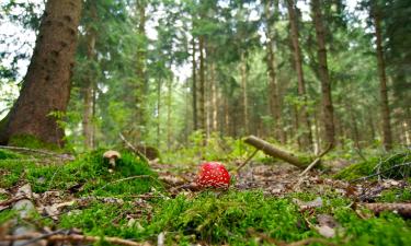 Hotely s parkováním v destinaci Bobingen