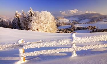 Hotels mit Parkplatz in Teufen