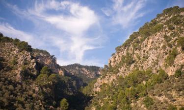 Casas de campo em Consell