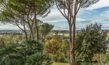 Vacation Rentals in Castel Giubileo