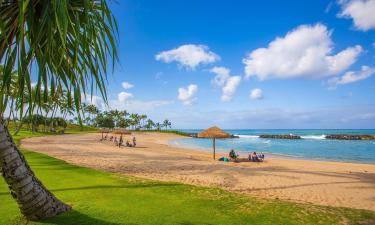 Hoteles con jacuzzi en Honokai Hale