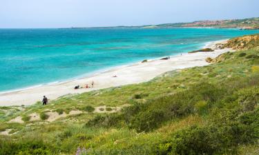 Allotjaments vacacionals a Solanas