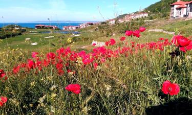 Allotjaments vacacionals a Bozhurets